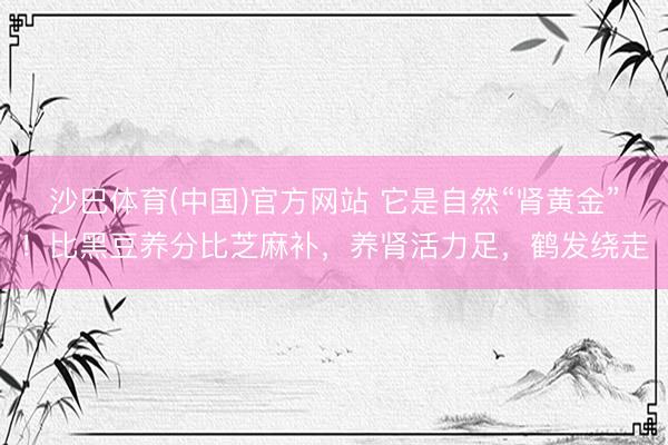 沙巴体育(中国)官方网站 它是自然“肾黄金”！比黑豆养分比芝麻补，养肾活力足，鹤发绕走