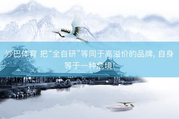 沙巴体育 把“全自研”等同于高溢价的品牌， 自身等于一种危境!
