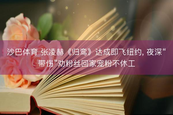沙巴体育 张凌赫《归鸾》达成即飞纽约， 夜深“带伤”劝粉丝回家宠粉不休工