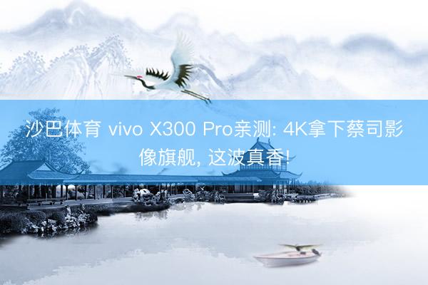 沙巴体育 vivo X300 Pro亲测: 4K拿下蔡司影像旗舰， 这波真香!