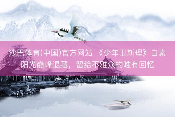沙巴体育(中国)官方网站 《少年卫斯理》白素阳光巅峰退藏，留给不雅众的唯有回忆