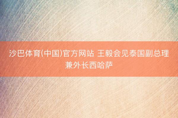 沙巴体育(中国)官方网站 王毅会见泰国副总理兼外长西哈萨